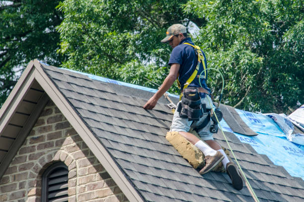 Best Roof Maintenance Services  in Carnation, WA